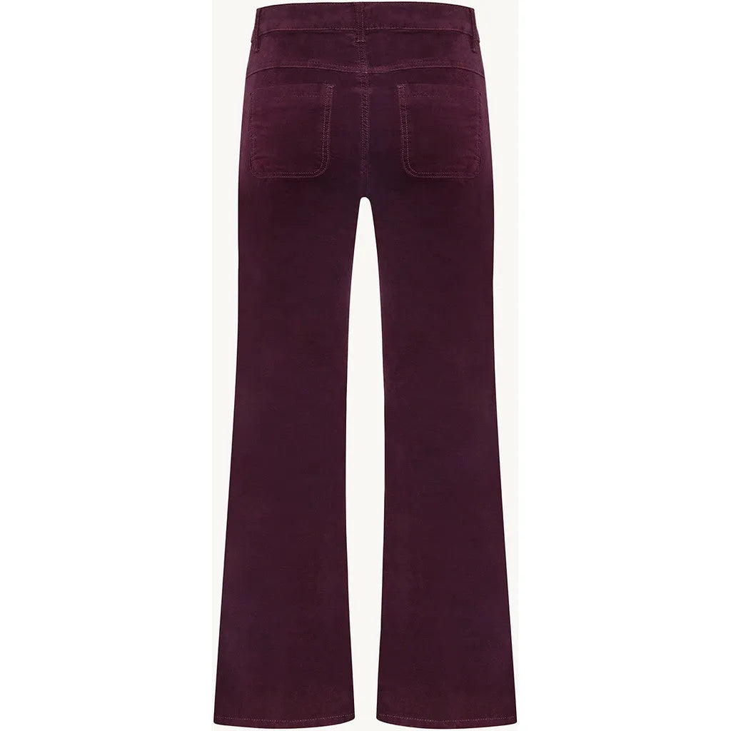 CWJaya Bootcut Pants - Wineberry