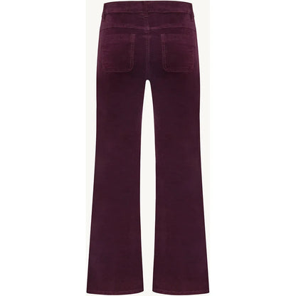 CWJaya Bootcut Pants - Wineberry