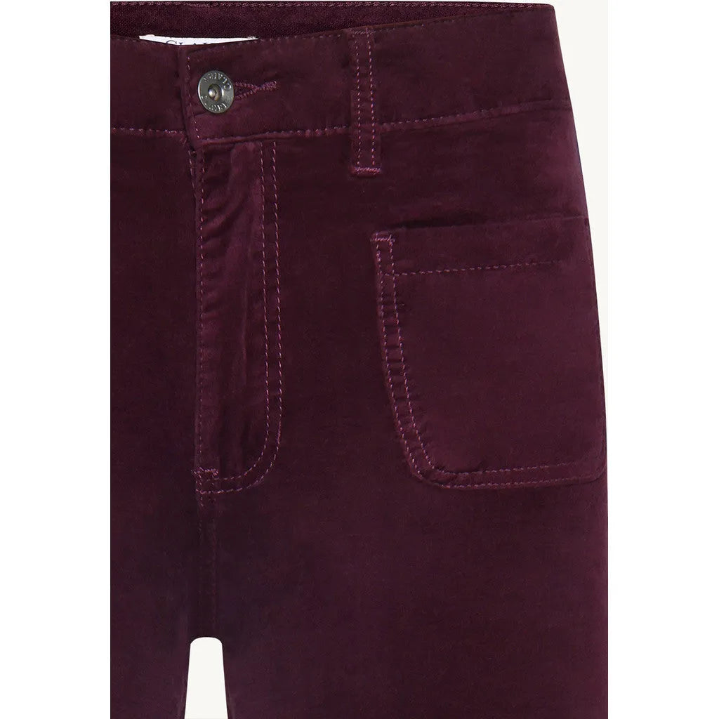 CWJaya Bootcut Pants - Wineberry